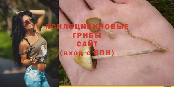 a pvp Алексеевка