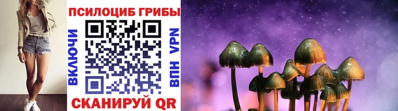 Псилоцибиновые грибы GOLDEN TEACHER  MEGA ссылка  Ельня  где купить наркоту 